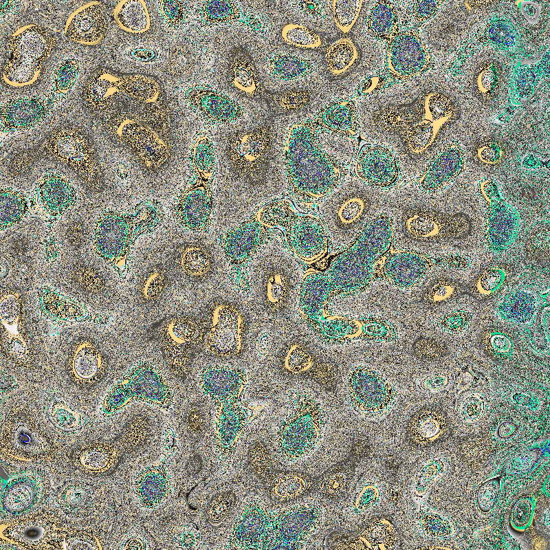 Bacteria Scanner #51 static token preview