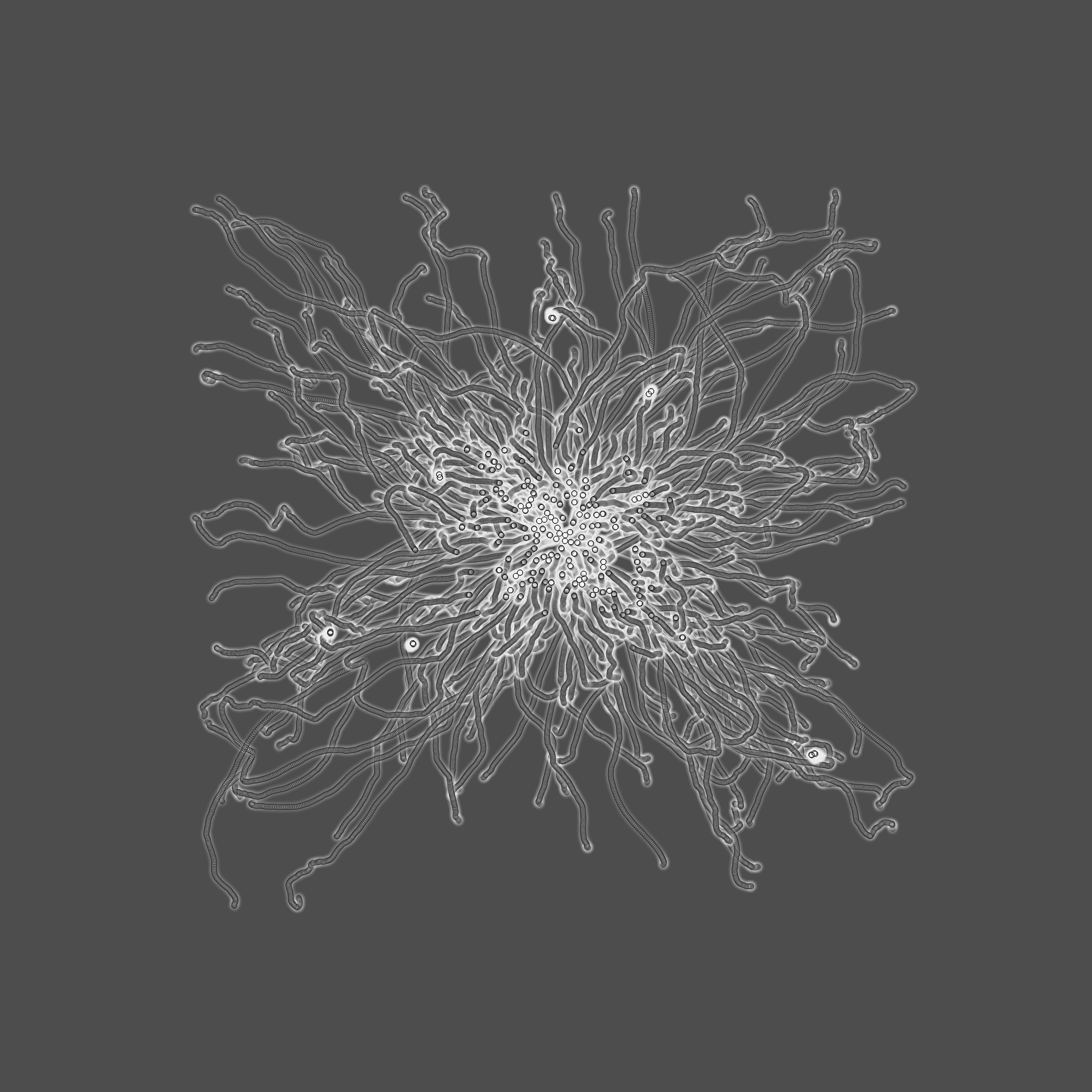 grey fungi wisdom #90 static token preview