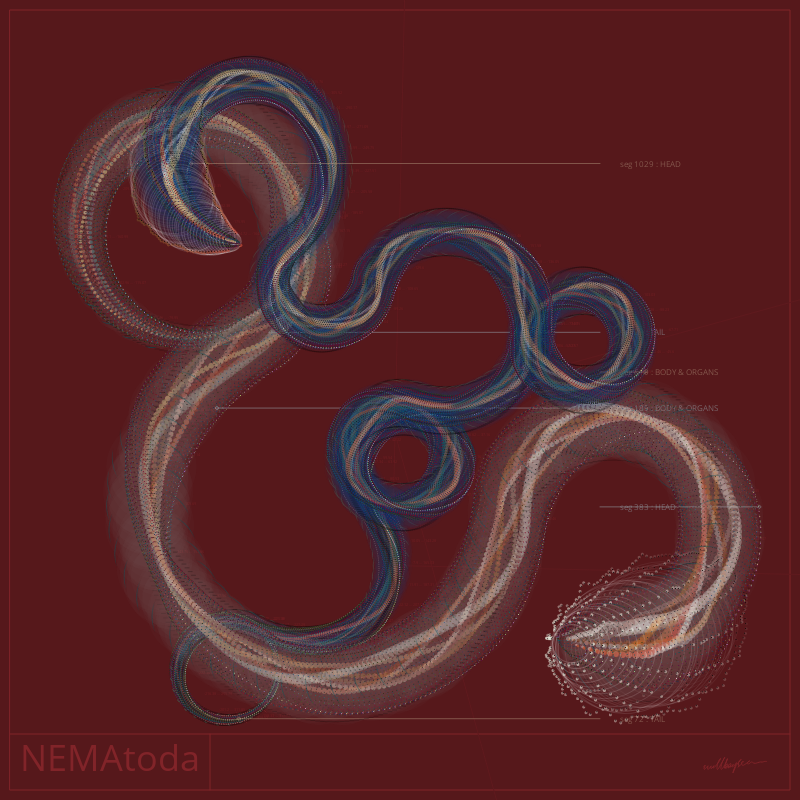 NEMA #4 static token preview