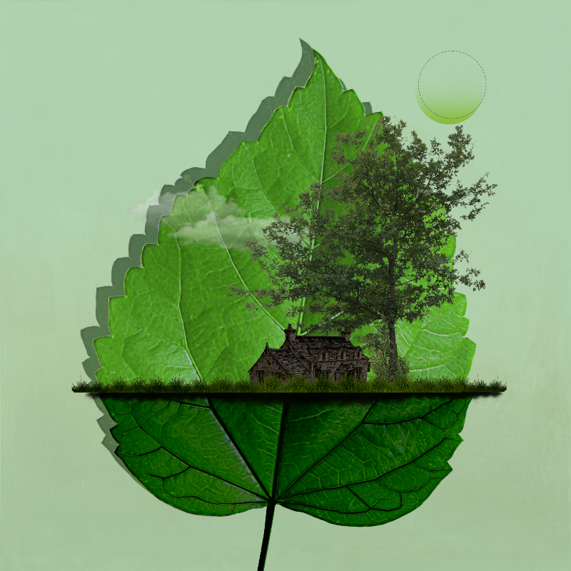 Live in Nature #31 static token preview