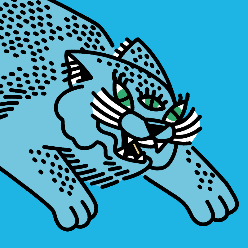 fx(cats) #229 static token preview
