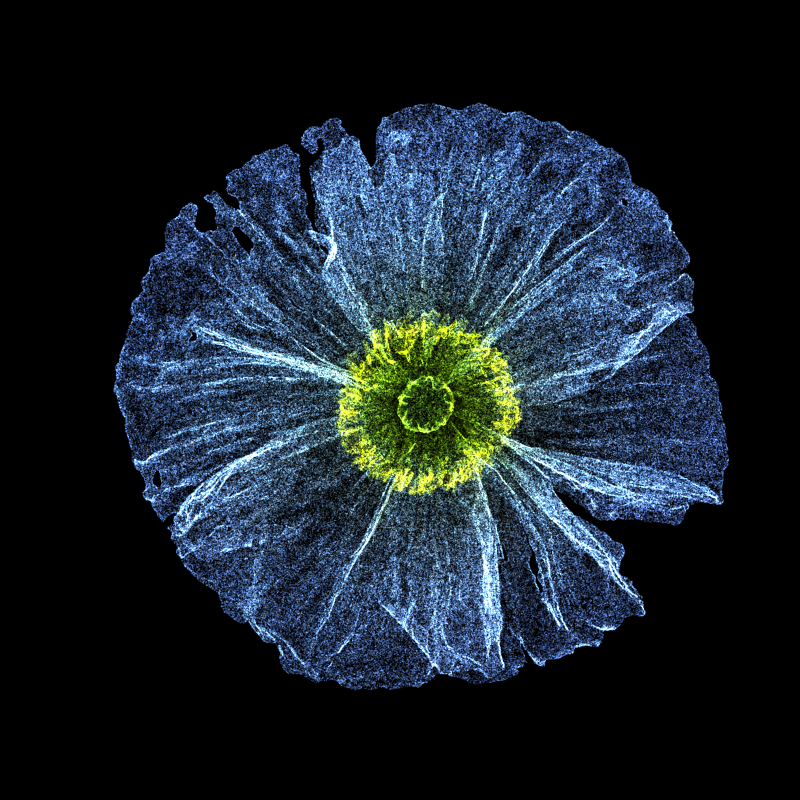 White Poppy 30 #28 static token preview