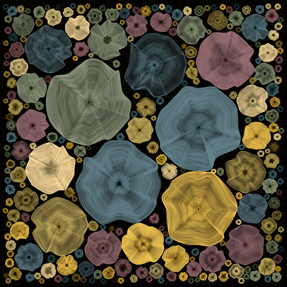 Process #33 static NFT preview