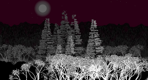 Night Pines project preview