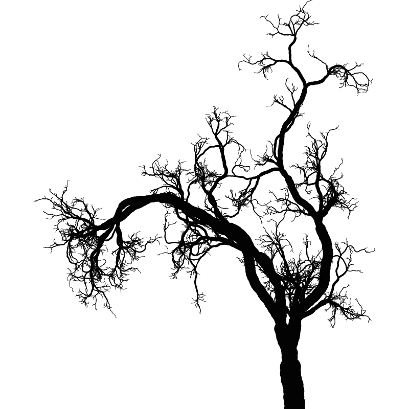 Tree 01 #55 static token preview