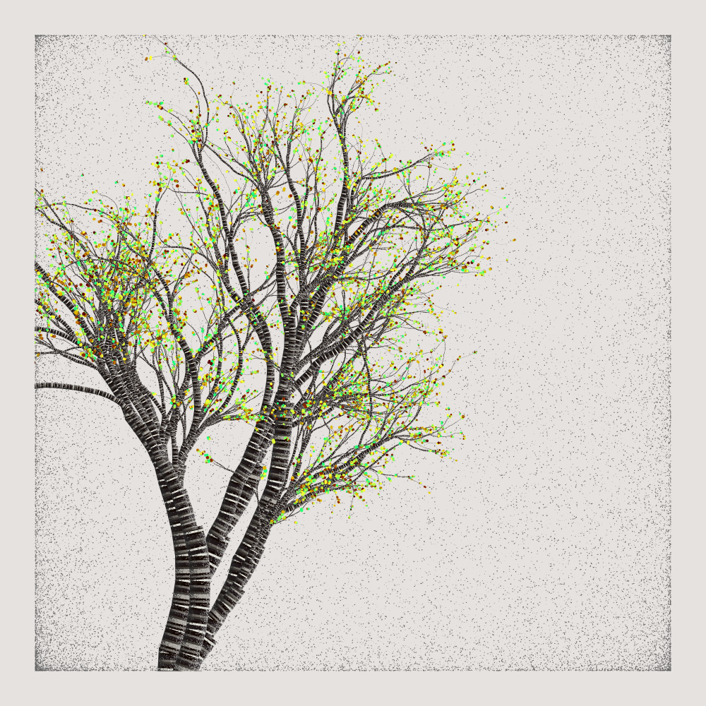 Bougainvillea #6 static NFT preview