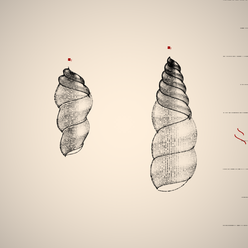 Two Specimen #188 static token preview