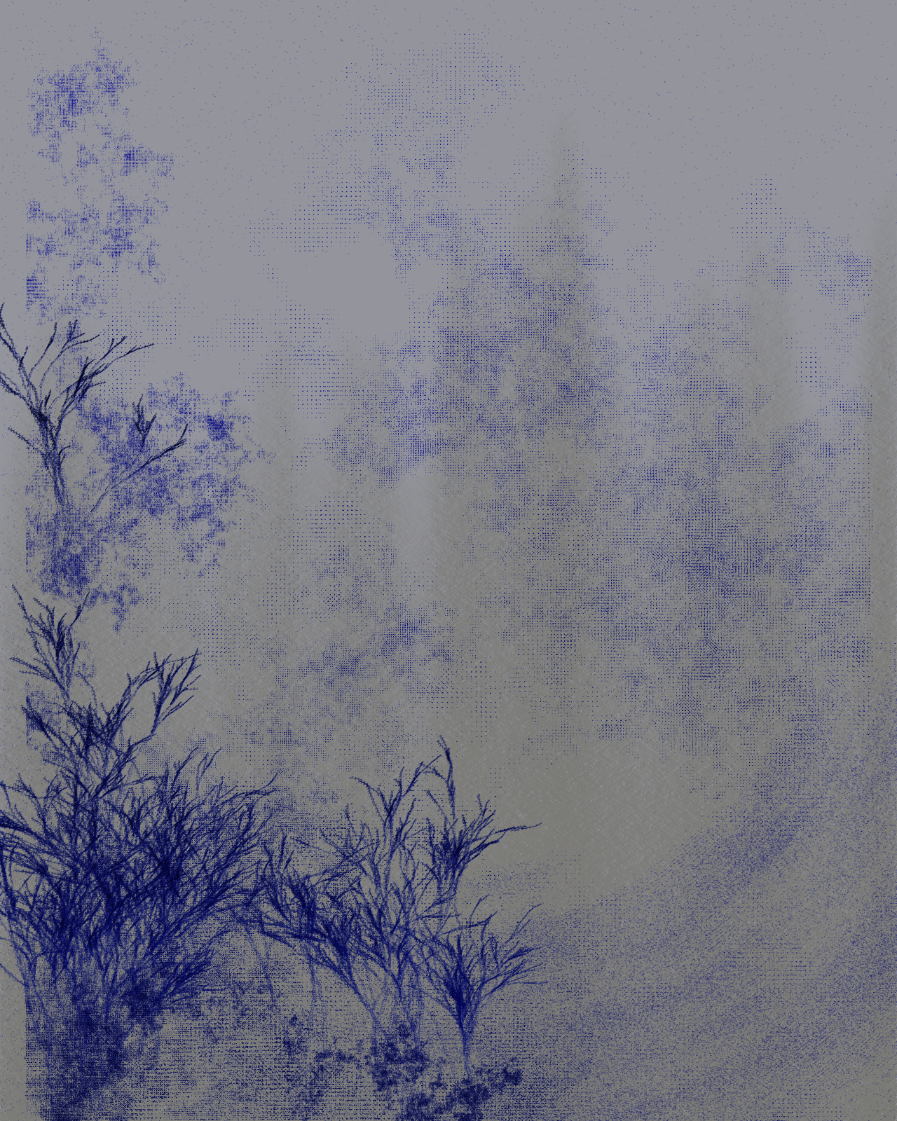 ROSEMANDY #53 static NFT preview