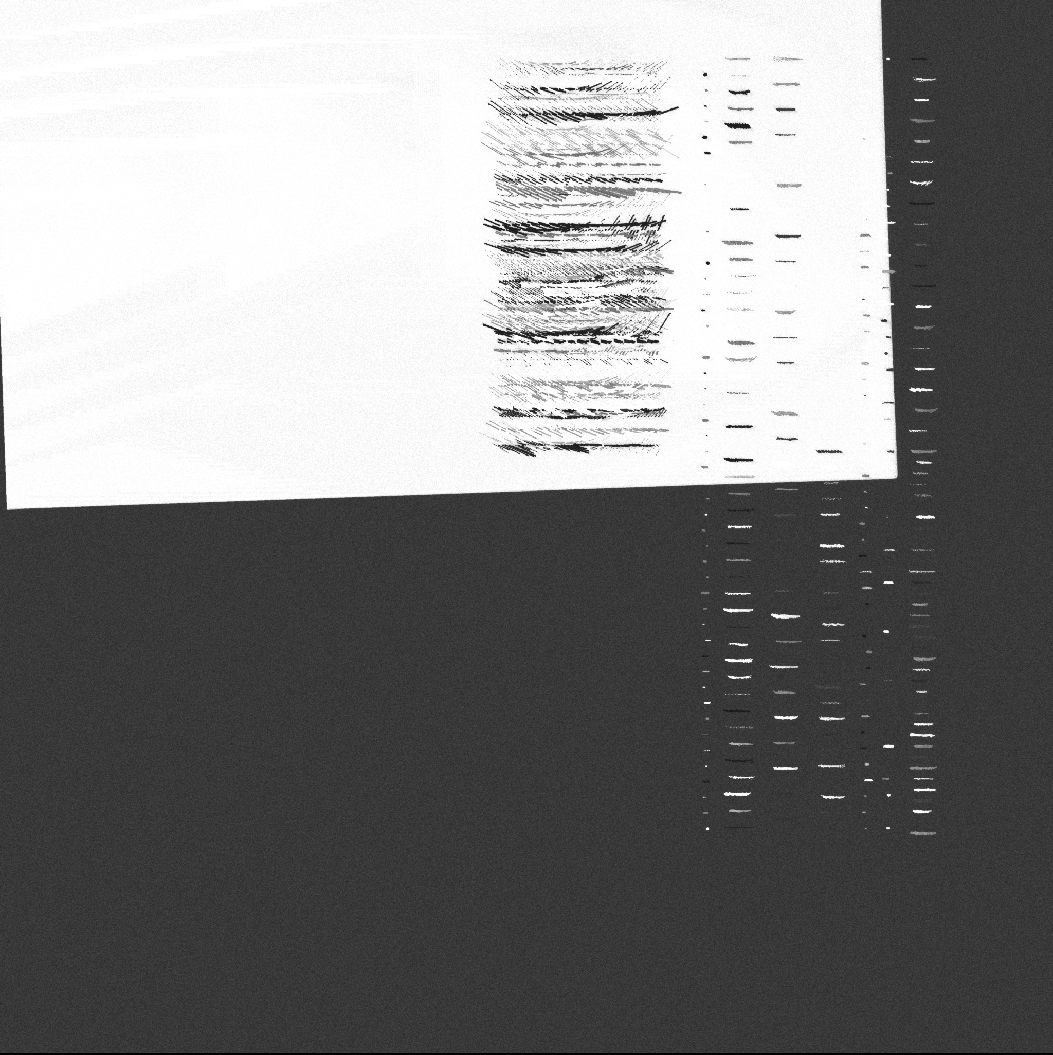 ecologías - A #1264 static NFT preview