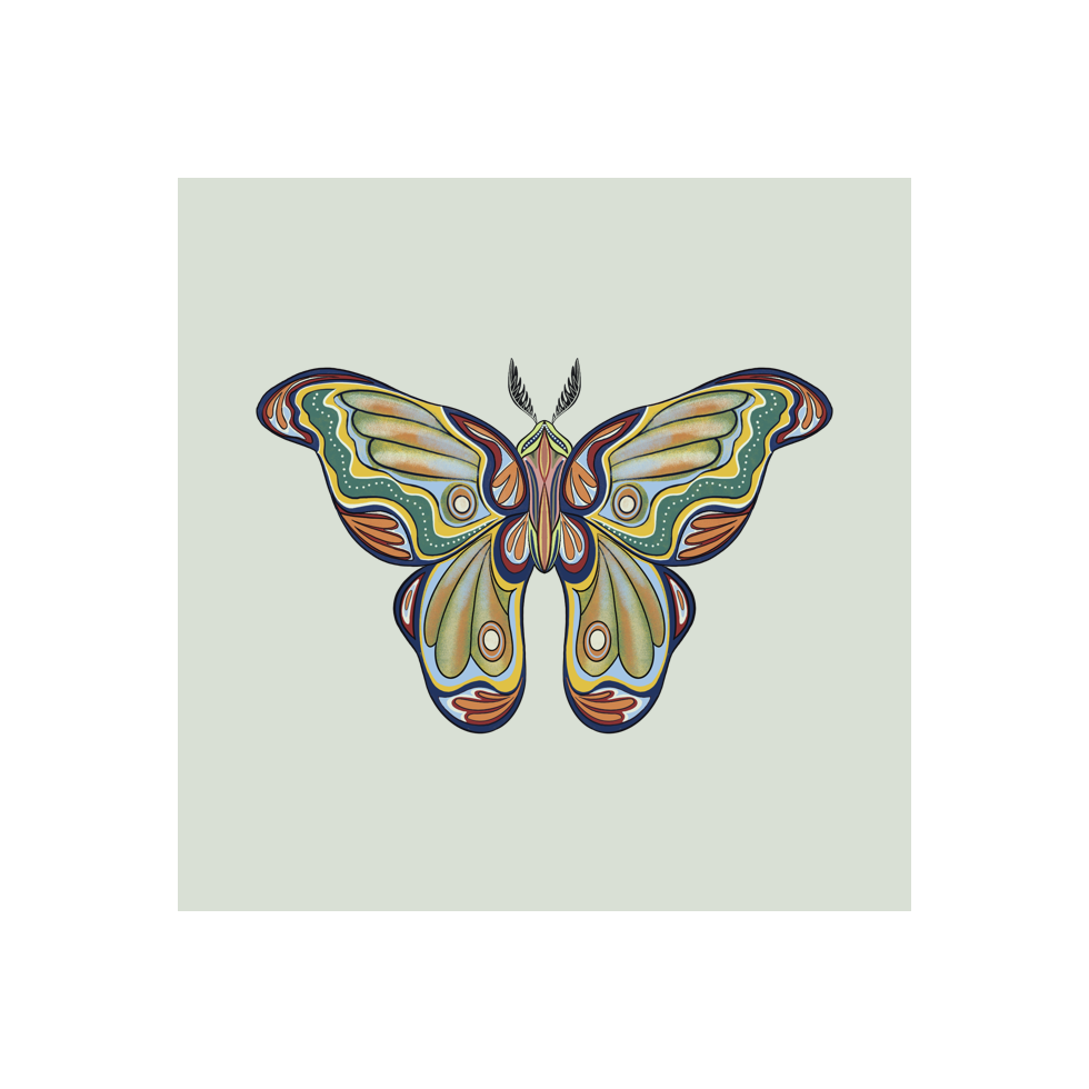 The Moth Experiment #1 static token preview