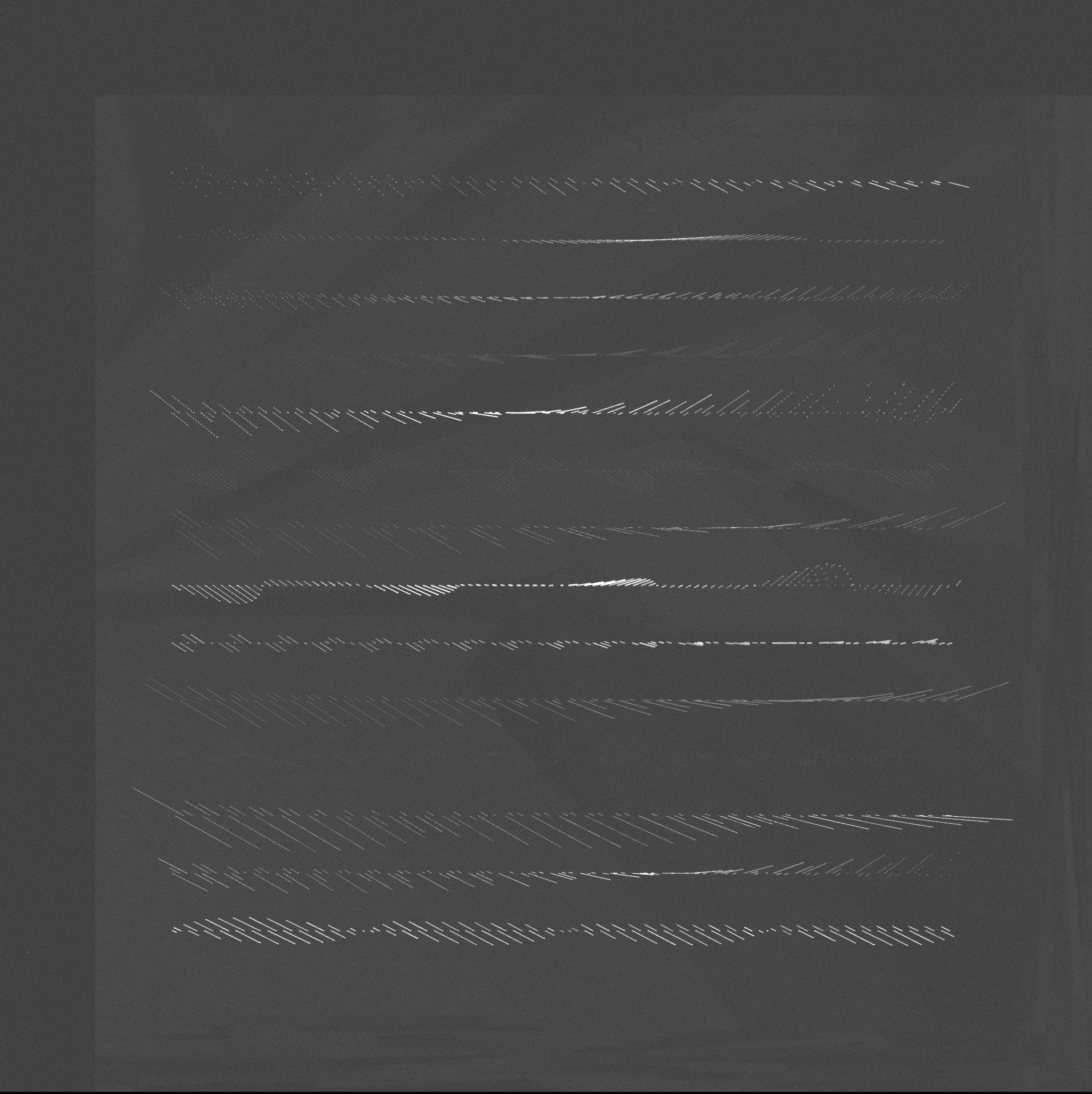 ecologías - A #537 static NFT preview