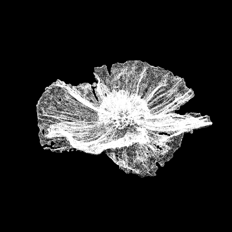 White Poppy 30 #277 static token preview