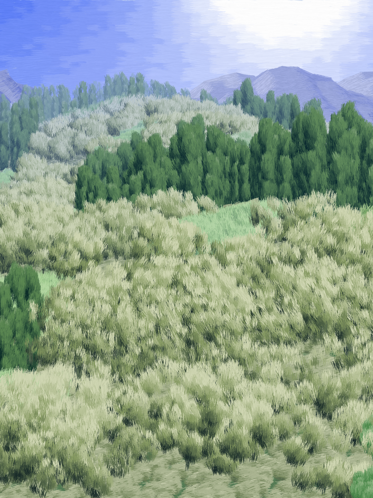 Provence #250 static NFT preview
