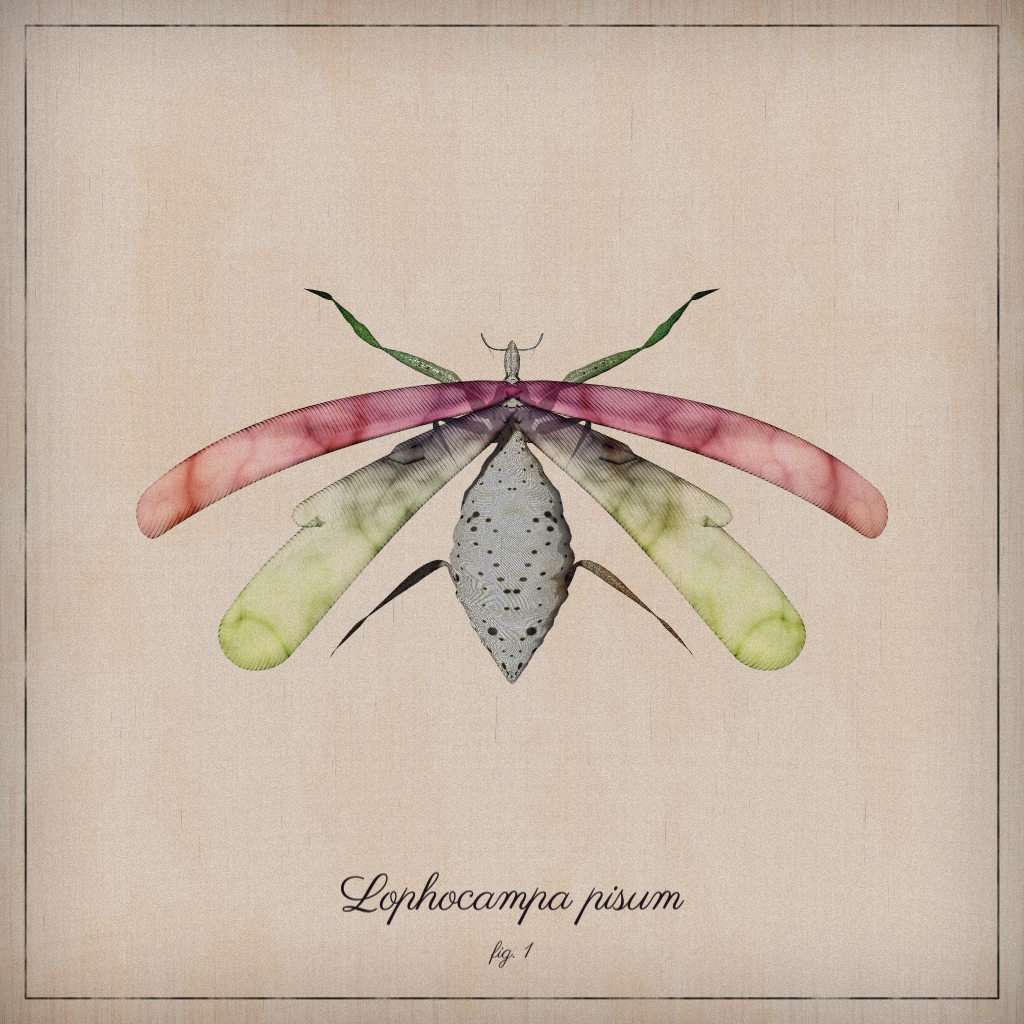 ProcGen Entomology #29 static NFT preview