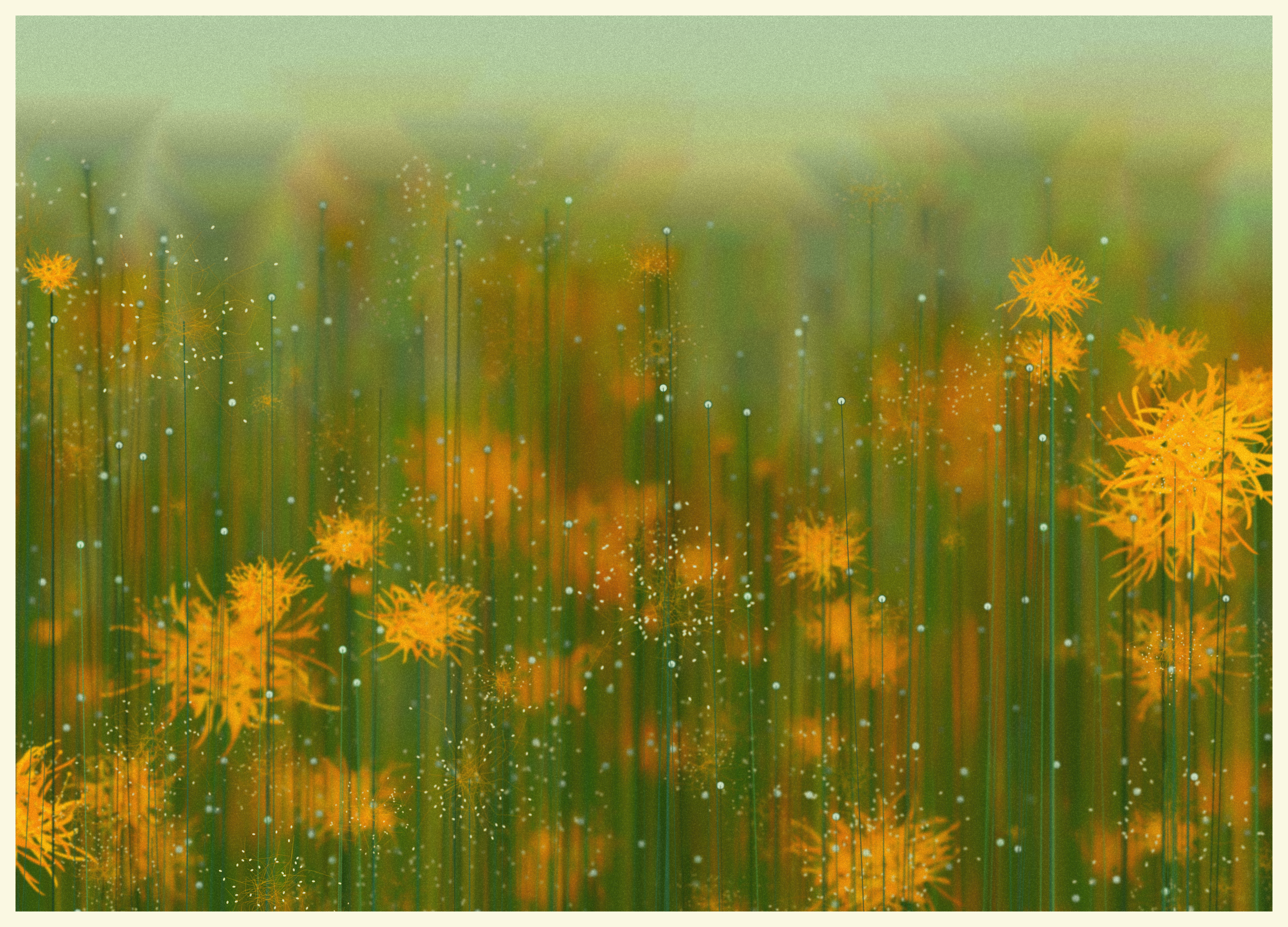Serene Garden #57 static NFT preview