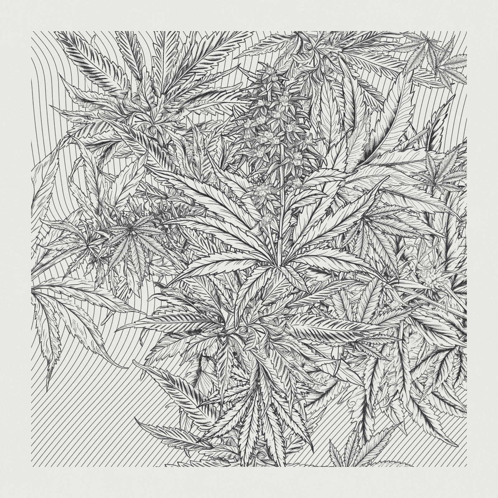 zancannabis #233 static NFT preview