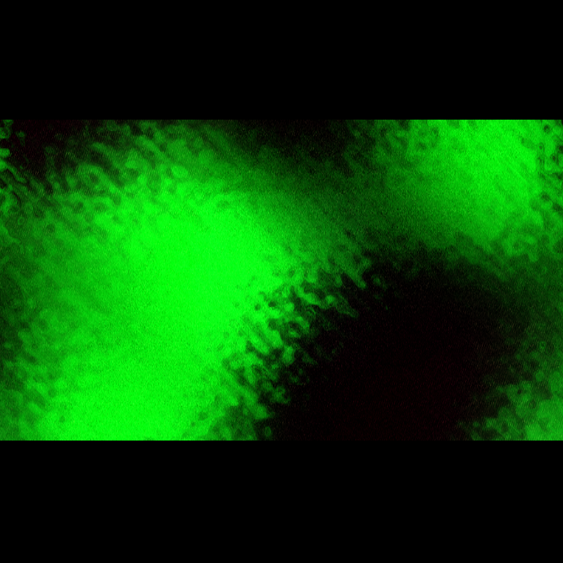 ƧЦBƧƬЯΛƬӨ DΣ PӨΣIЯΛ #56 static NFT preview