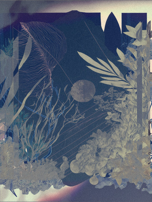 Wild Palms #237 static NFT preview