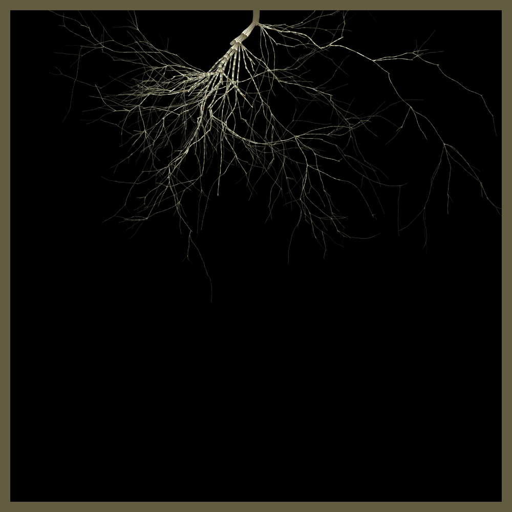 Arbres suspendus #57 static NFT preview