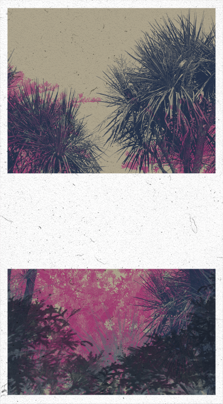 Life in the forest! #78 static NFT preview