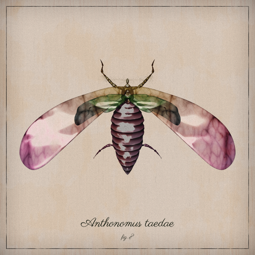 ProcGen Entomology #80 static NFT preview
