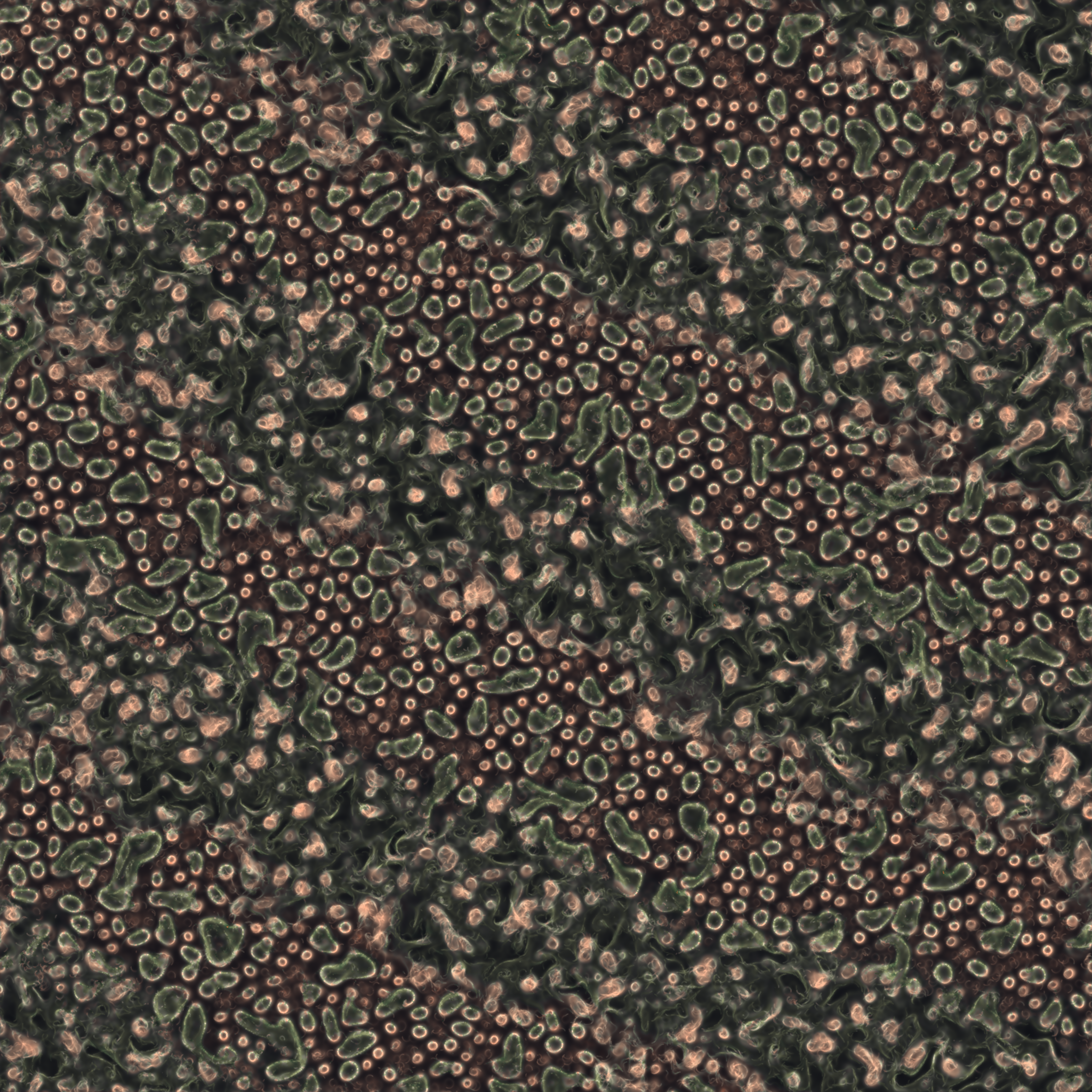 saprophyte #249 static NFT preview