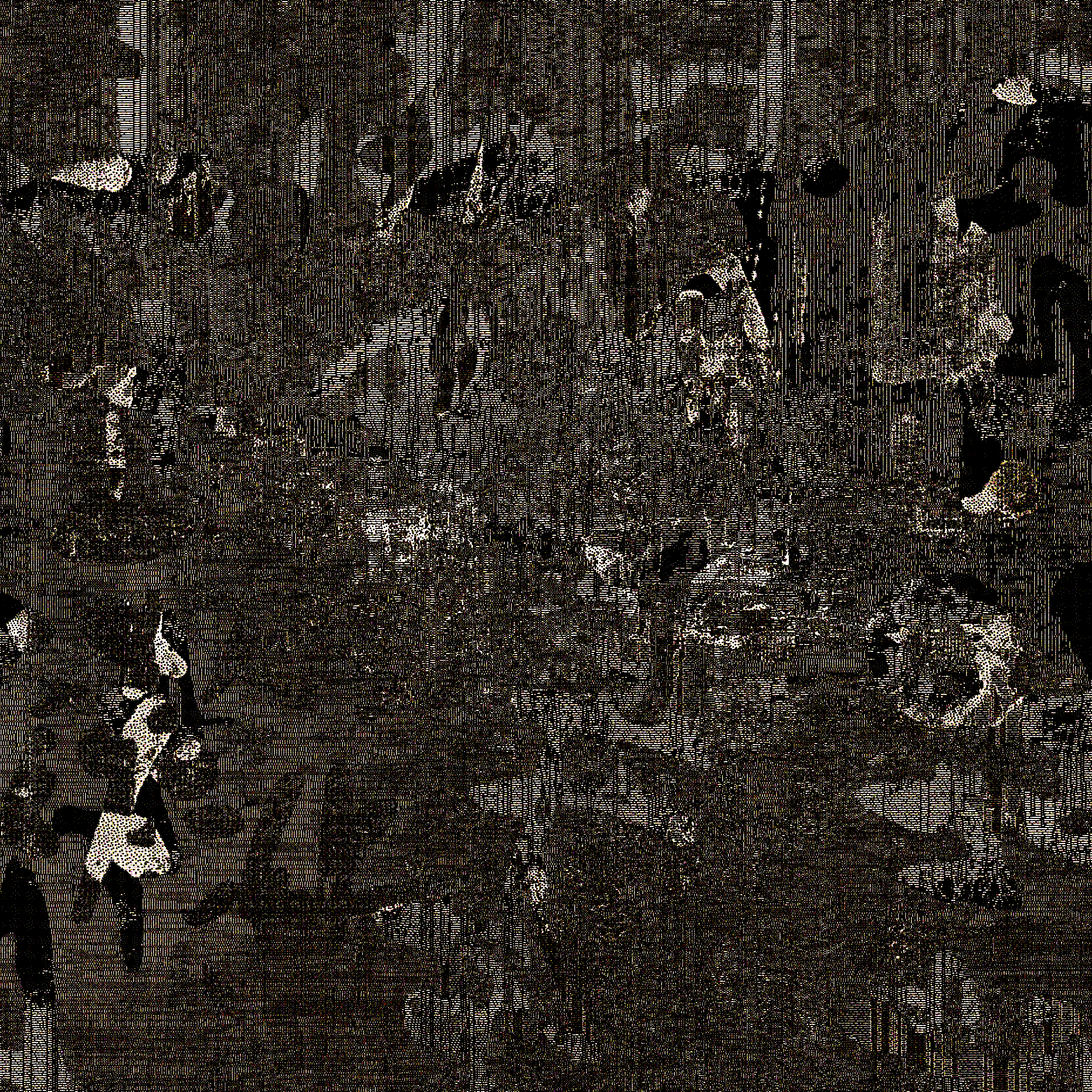 GTX #73 static NFT preview