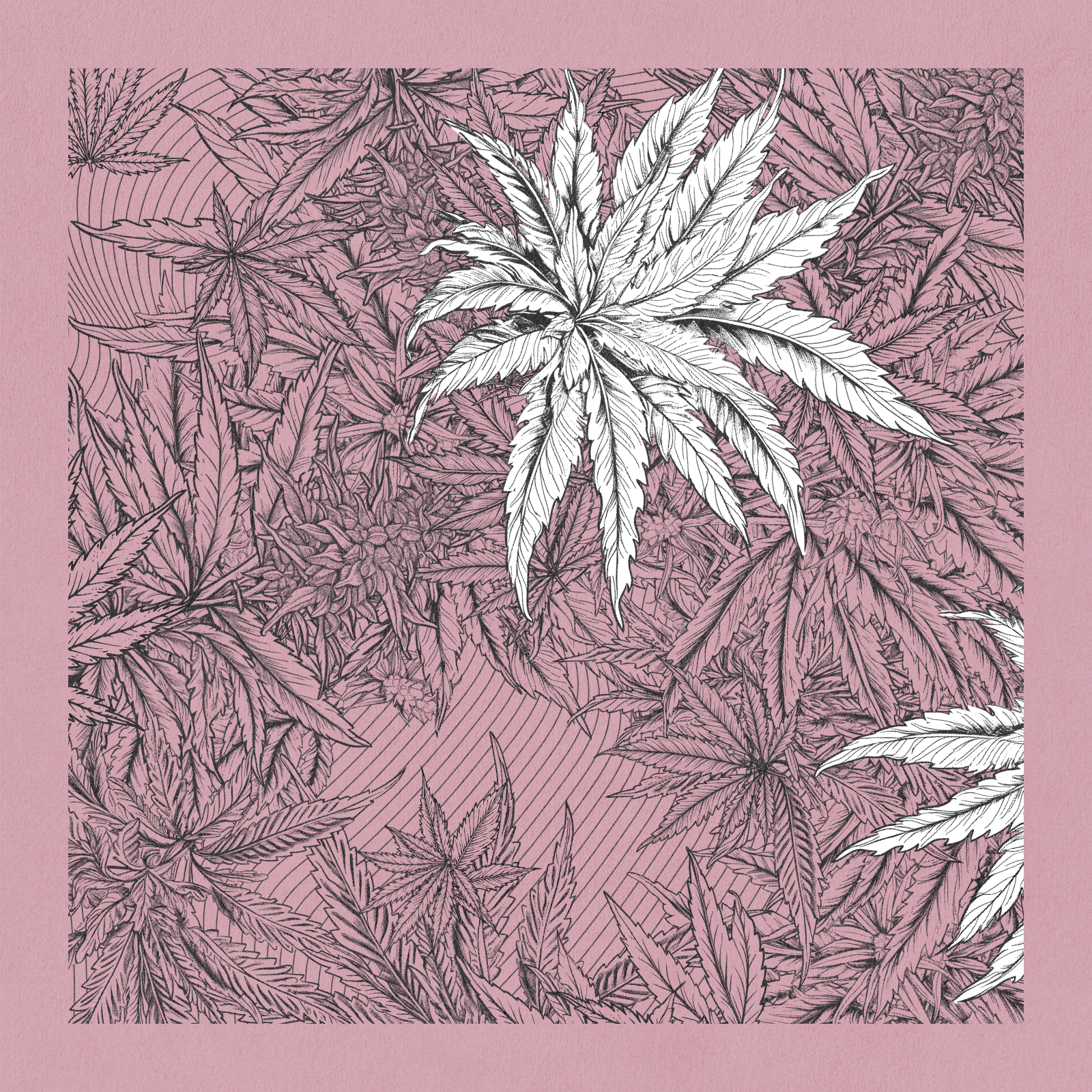 zancannabis #400 static NFT preview