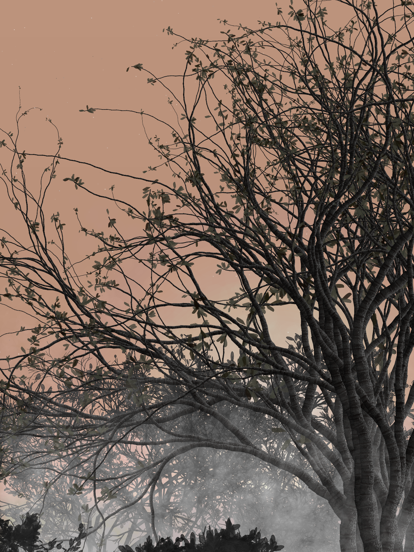 Morning Mist #194 static token preview