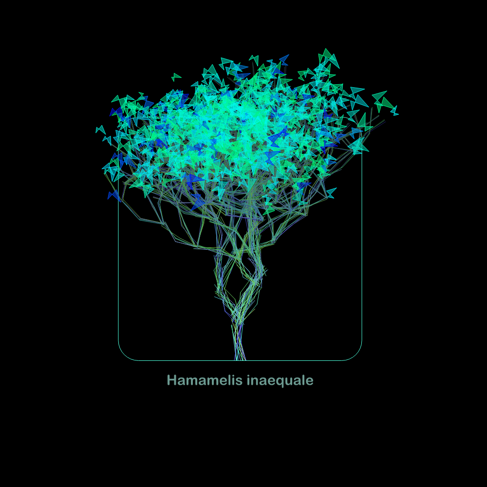 Fluidynamix - Trees #1 static token preview