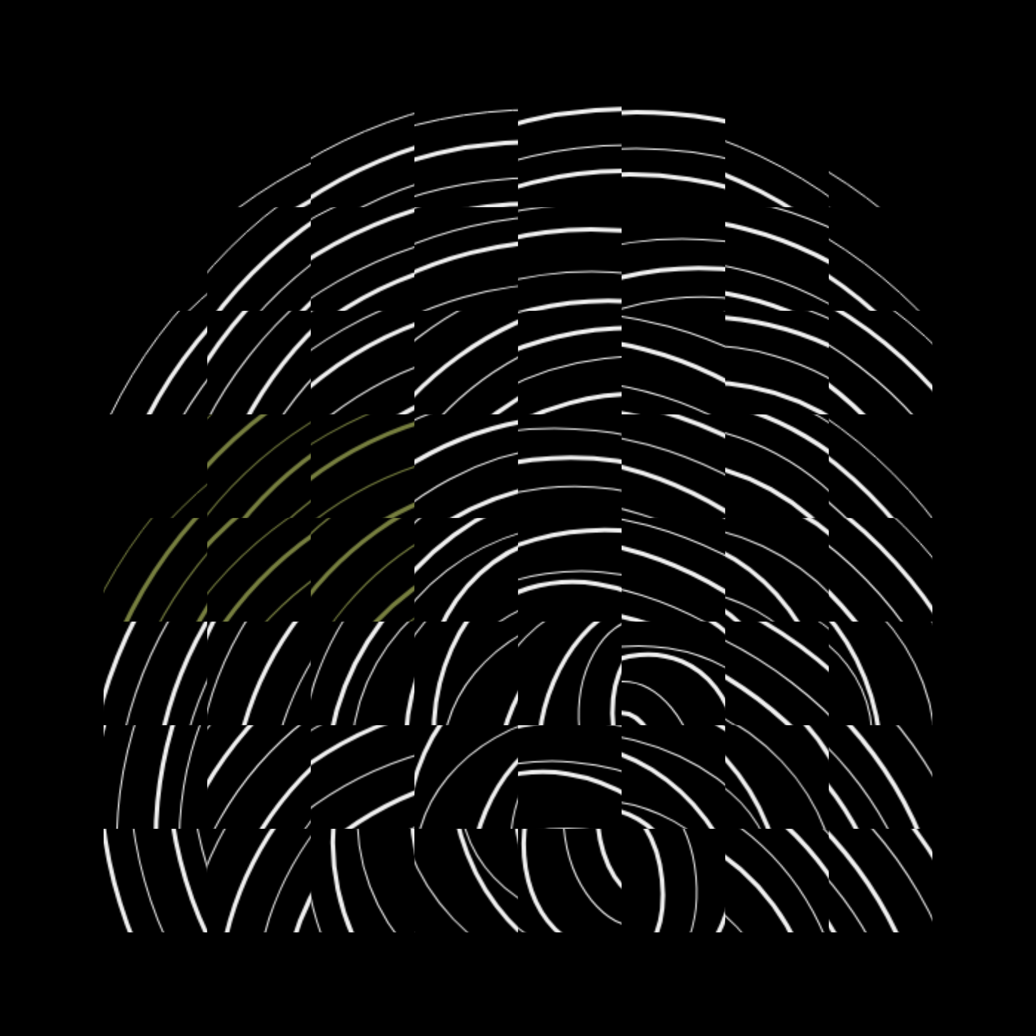 Fragment S3 #64 static token preview