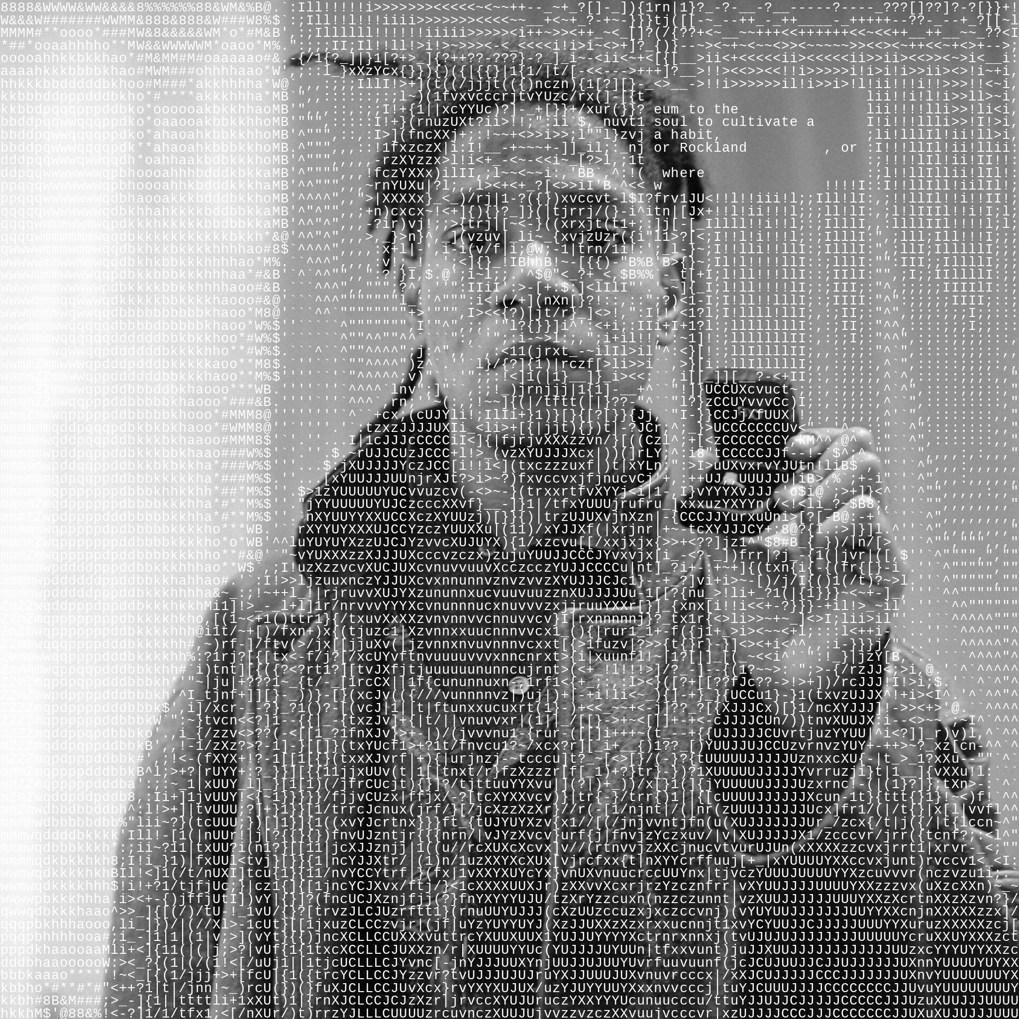 HOWL.camera #97 static NFT preview