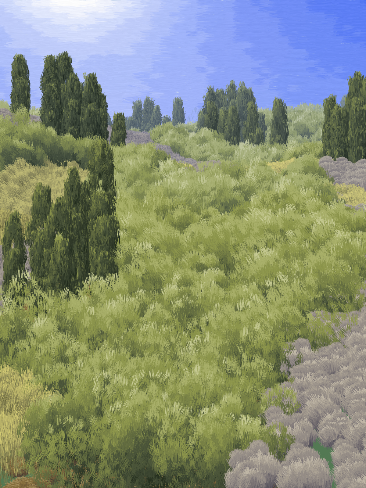 Provence #244 static NFT preview