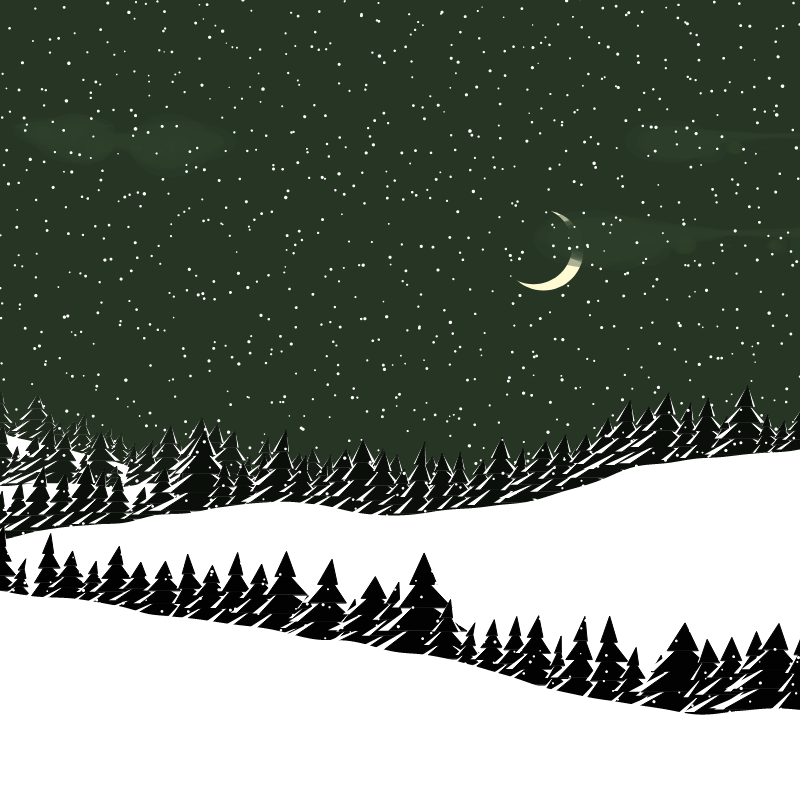 Winterland #211 static NFT preview