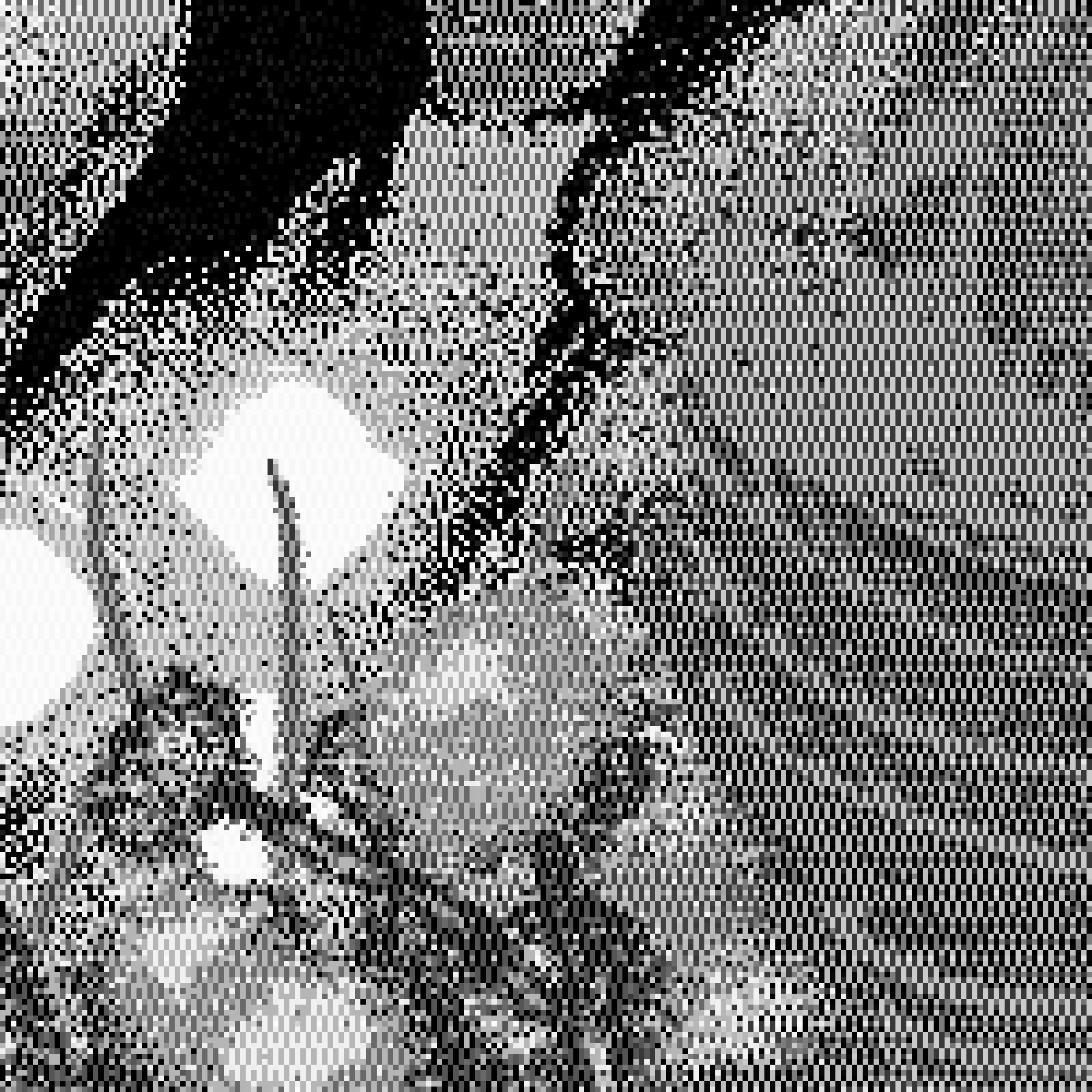 PX of Onablo #101 static NFT preview
