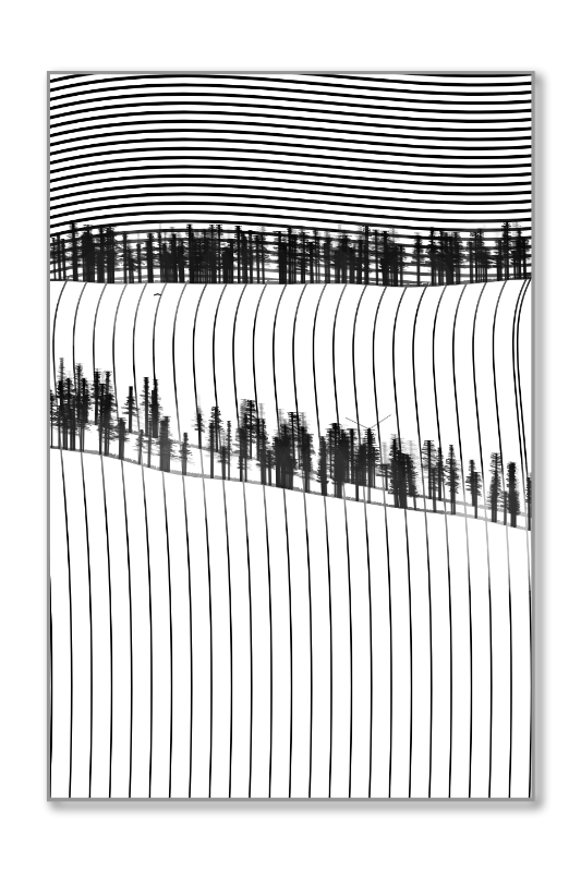 Harmonious Hill #53 static NFT preview