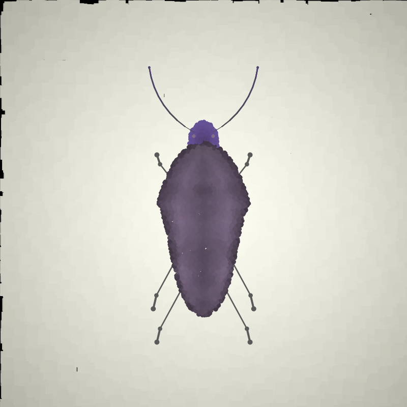 Beetle Sketches #14 static token preview