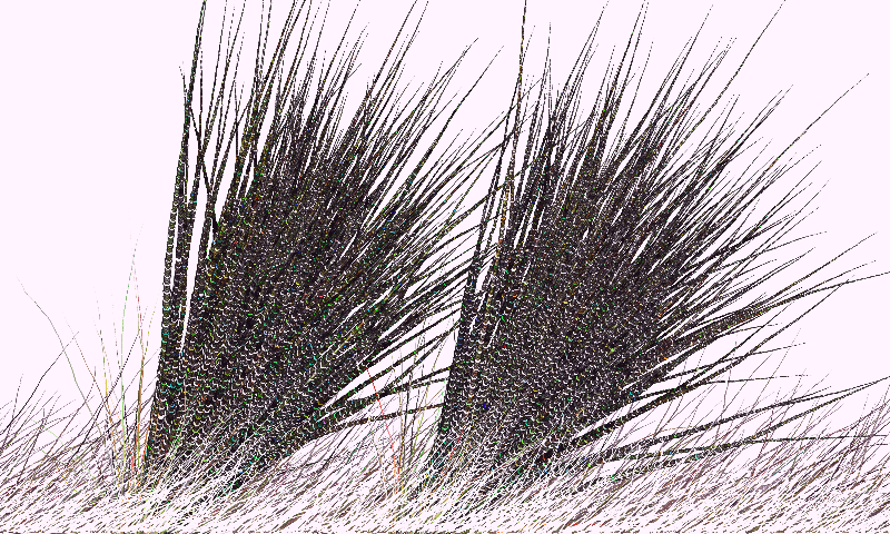 Sketches:Pairs of Tails:Majestic Creatures #29 static token preview