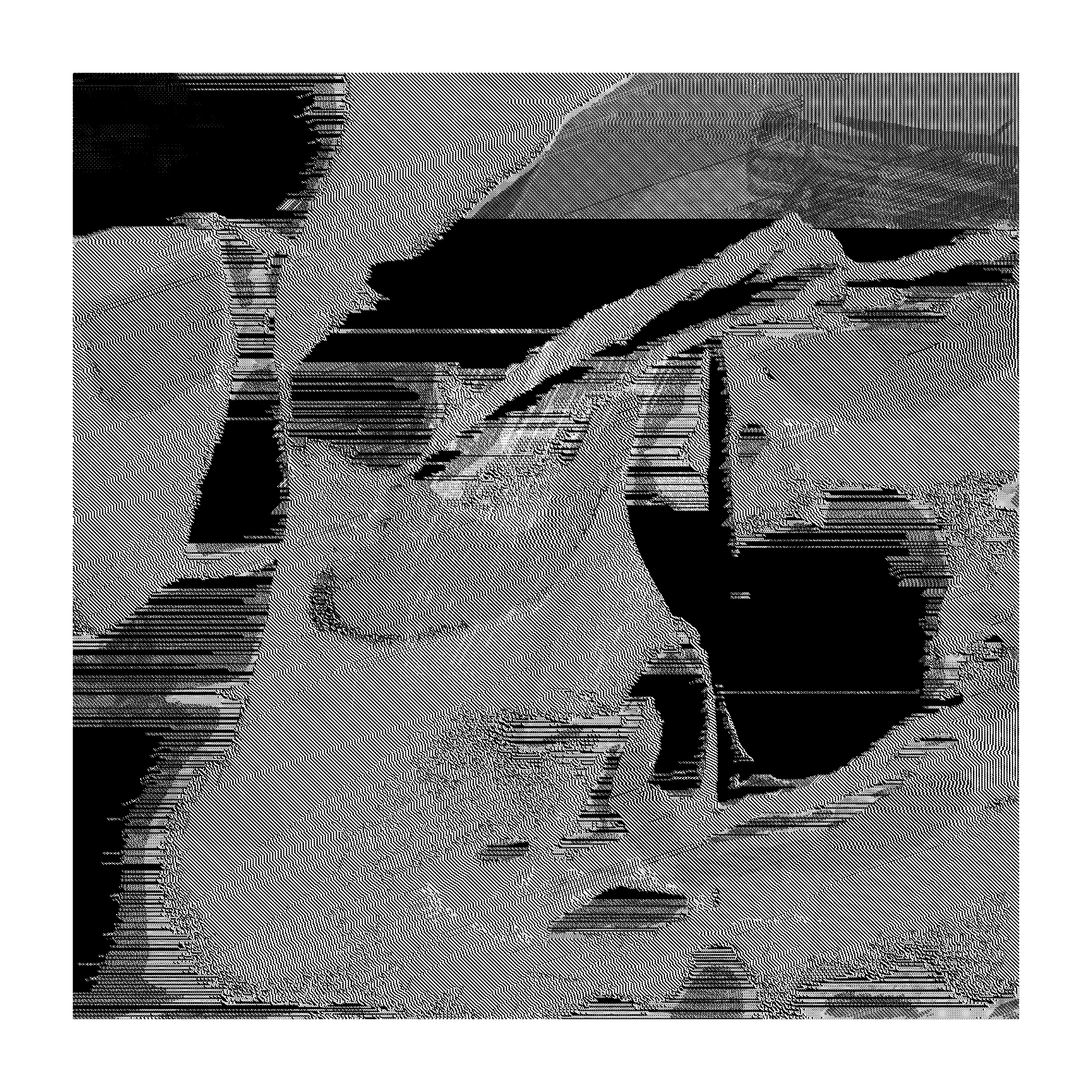 FHX-1 #325 static token preview