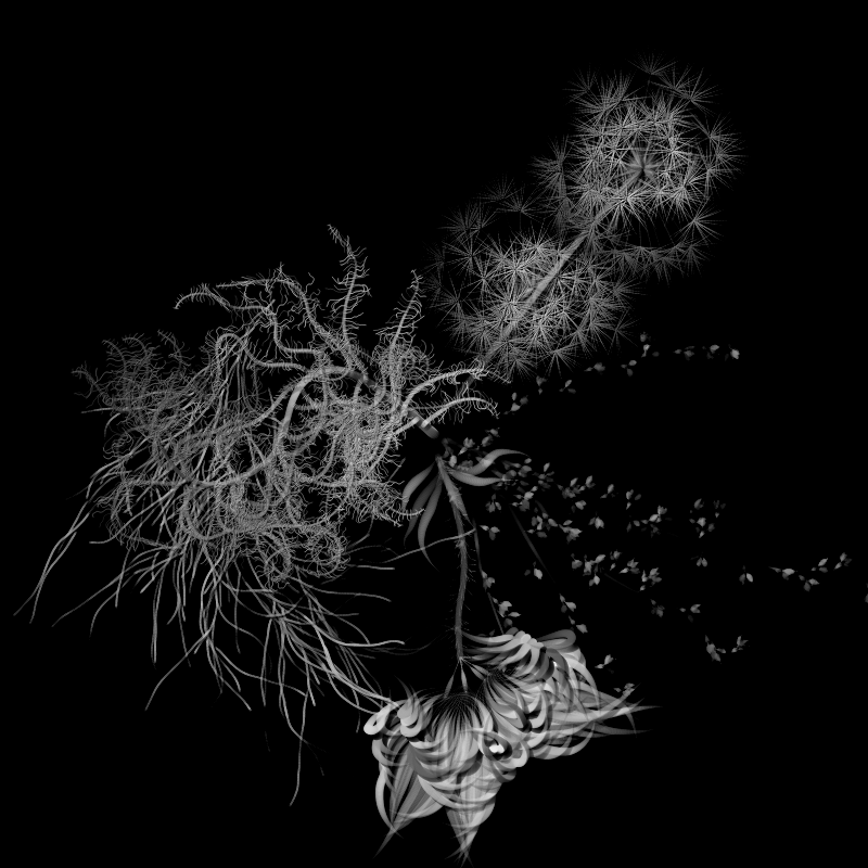 Botanical Ghosts #350 static token preview