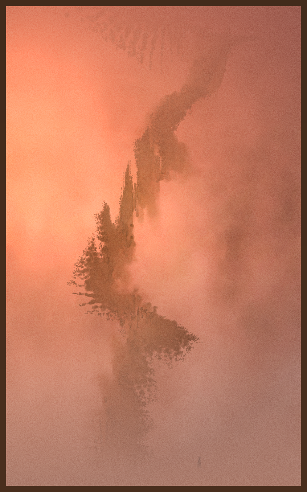 Intangible #264 static token preview