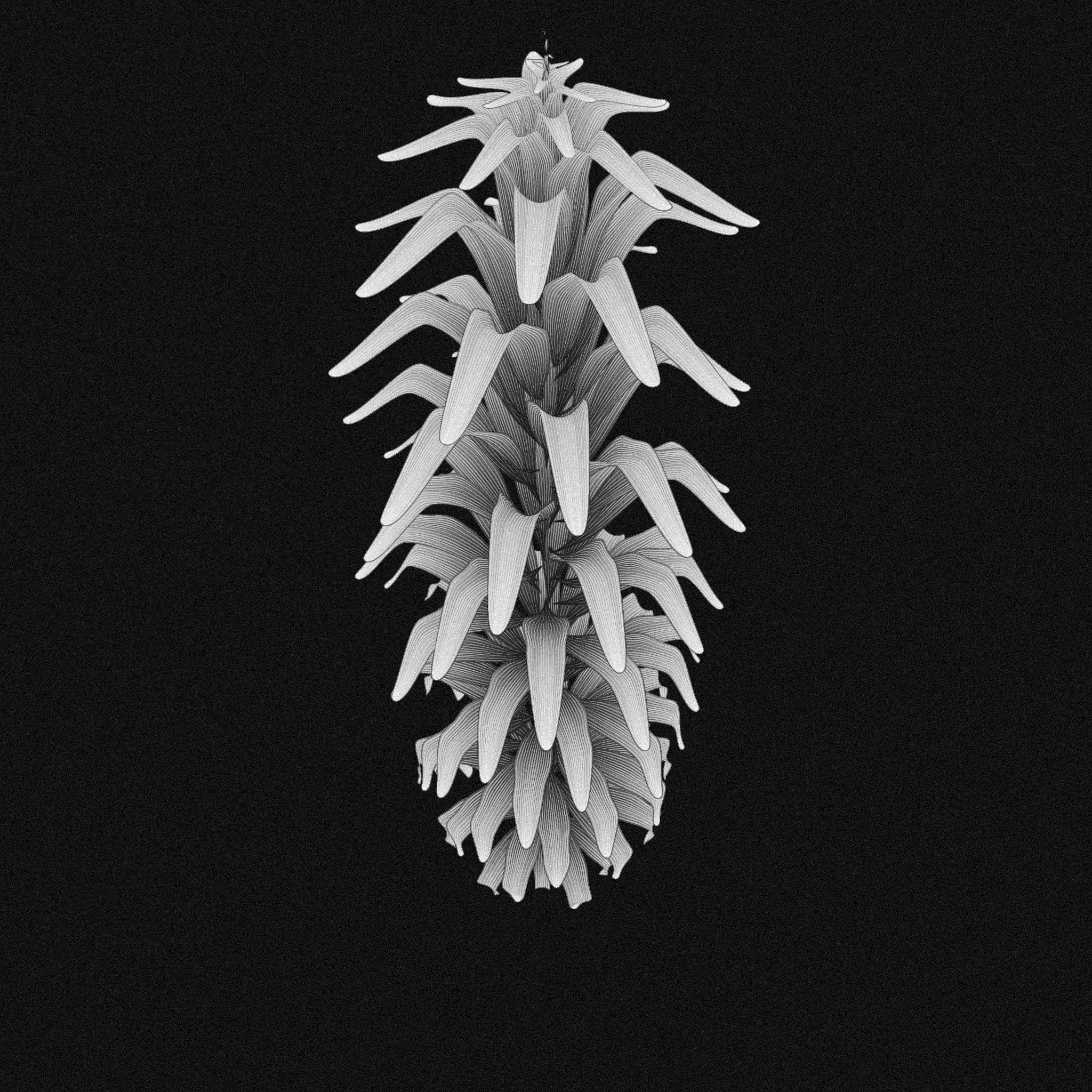 plant #27 static NFT preview