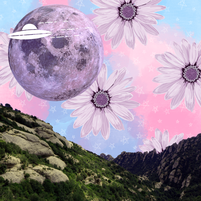 Pink Moon #26 static token preview
