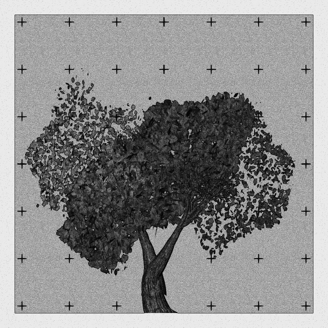 _argania[primaria] #201 static token preview