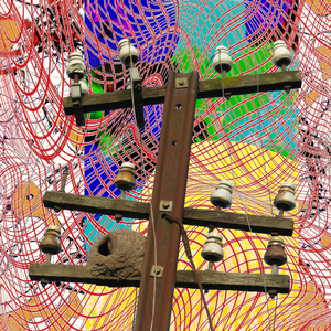 ┰ǝӏǝ𝒈𝗋aƿ𝒉 𝗻ǝ✝⒲𝝧𝗋ᴋ #ꜭ #4 static NFT preview