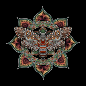 Mandalbugs project preview