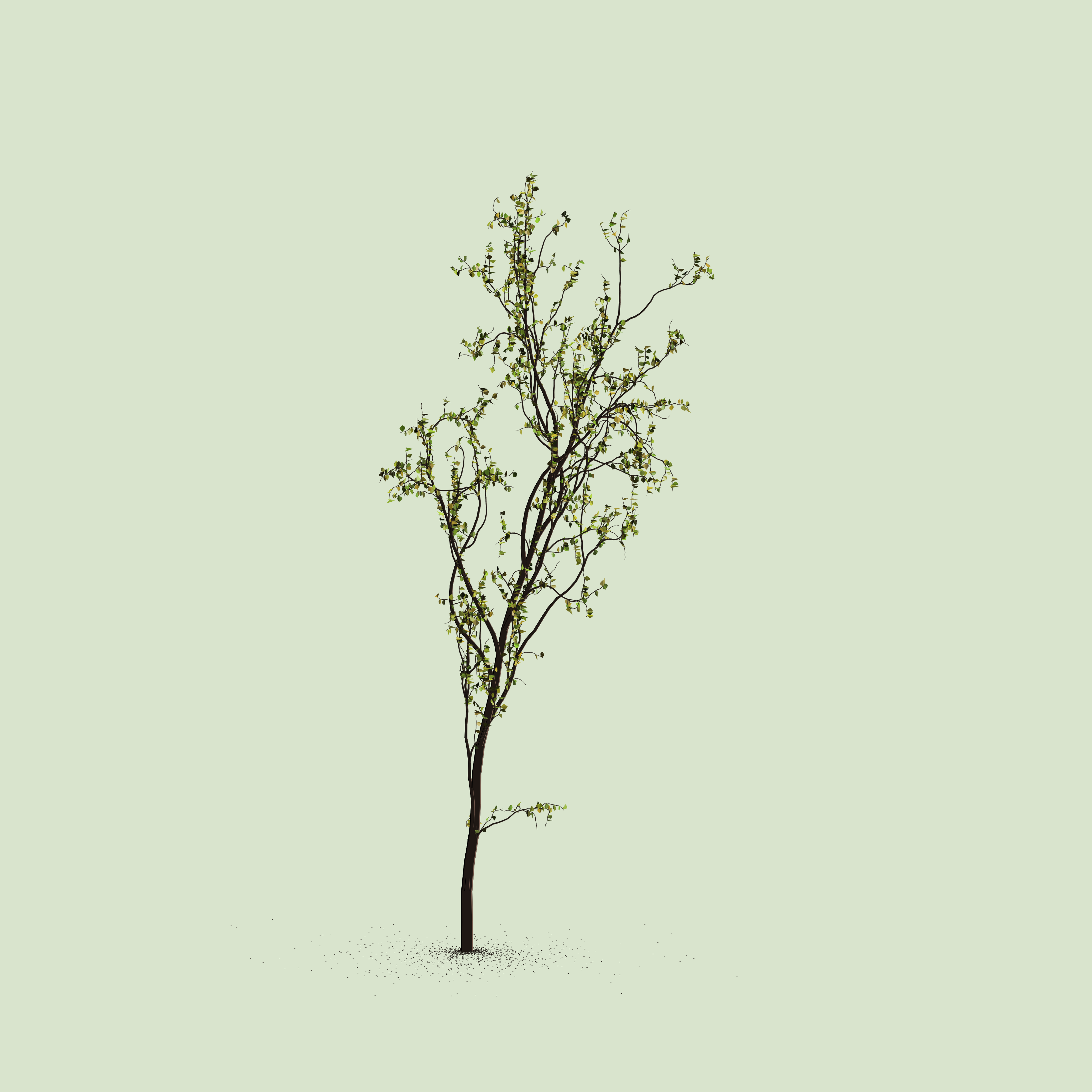 Little Trees #67 static token preview