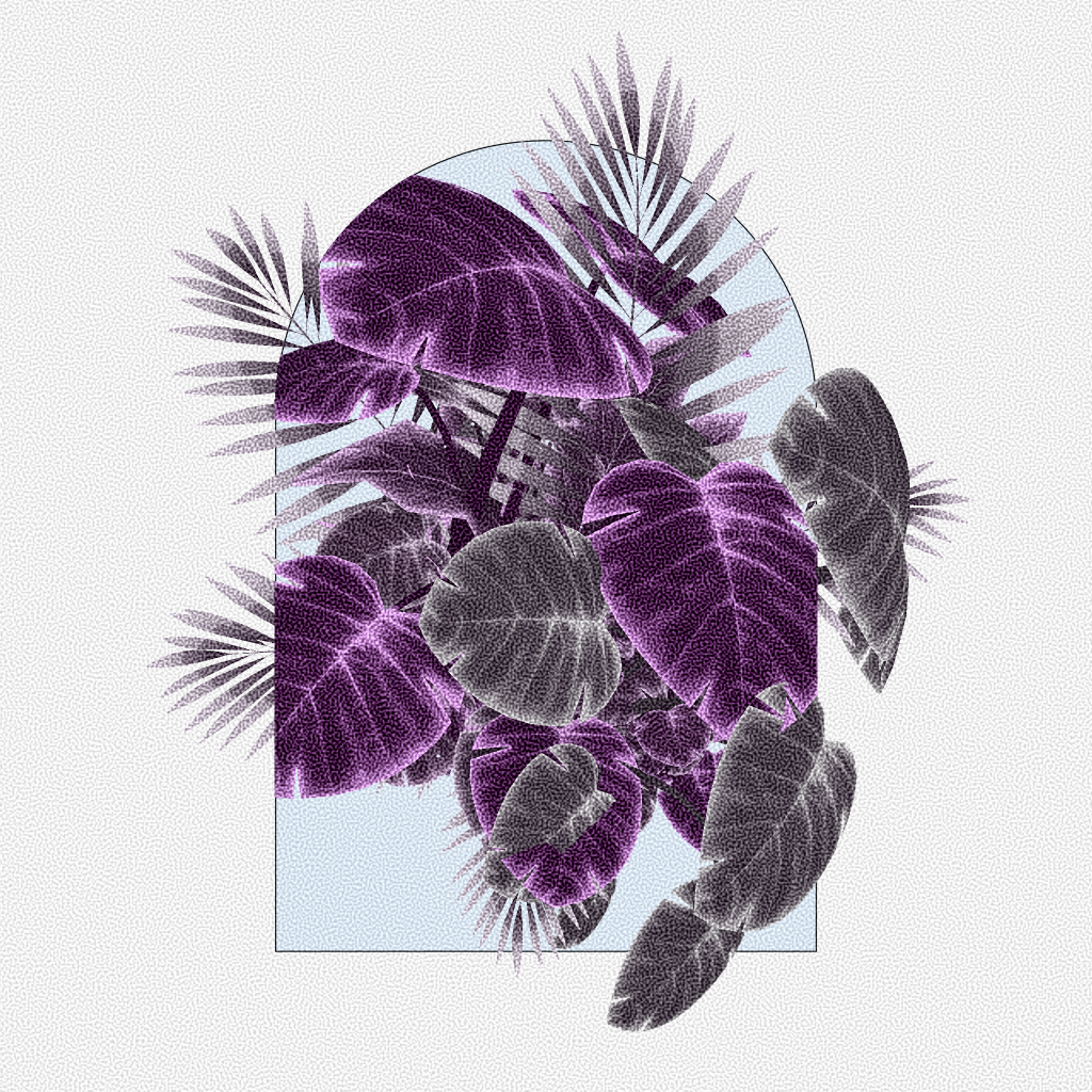 Botany #74 static token preview