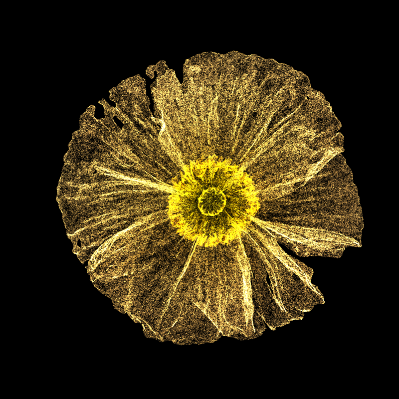 White Poppy 30 #200 static token preview