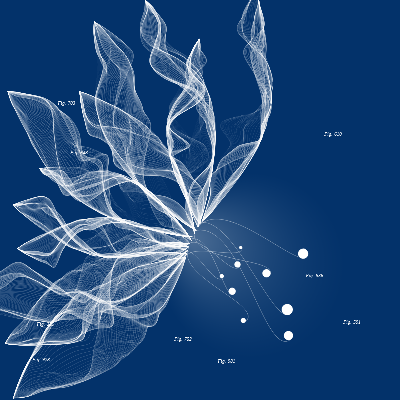 Herbarium #916 static token preview